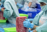 Tìm động lực tăng trưởng của nền kinh tế: Điểm danh nguồn lực bị kìm nén