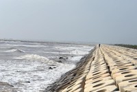 Đê chắn sóng Lạch Giang (Nam Định). Ảnh: Đức Thanh.