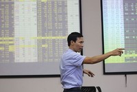 Hủy niêm yết tự nguyện: Cổ đông nhỏ nghi ngờ