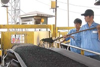 Than Vàng Danh lãi đột biến