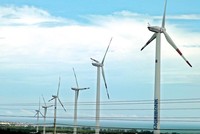 Mức giá mua 7,8 UScent/kWh được áp dụng từ năm 2011 chưa hấp dẫn nhiều nhà đầu tư vào làm điện gió.