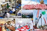 [Infographics] Những thành tựu kinh tế-xã hội của đất nước