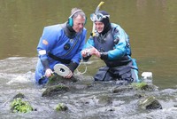 Ông Rolfe Mitchinson và Bob Middlemass lặn sông Tees để tìm kho báu hồi năm 2012. (Nguồn: TNE).