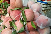 Đào tiên Trung Quốc đang được bày bán tràn ngập thị trường.