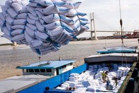 Xuất khẩu gạo của Việt Nam tăng mạnh