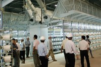 Bên trong Nhà máy Sản xuất xơ sợi Polyester Đình Vũ