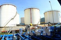 Ảnh chỉ mang tính minh họa. (Nguồn: TTXVN)