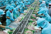 Các mặt hàng Việt Nam xuất khẩu sang Mỹ cạnh tranh nhiều nhất với hàng hóa Trung Quốc nên có cơ hội gia tăng xuất khẩu .