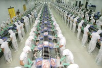 Doanh nghiệp thủy sản: Hai nửa vui, buồn