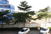 Vị trí xây dựng trạm xử lý rác chỉ các khu học tập của trẻ em và nơi sinh hoạt của người dân 1 con đường nội bộ khoảng 6m