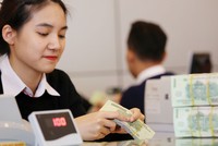 Nhà ở thu nhập thấp vẫn đang khát vốn ưu đãi hỗ trợ 