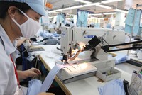 Dệt may Việt Nam đứng trước cơ hội lớn