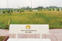 Nhiều dự án đất nền “bỏ hoang” sau cơn sốt