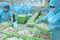 Doanh nghiệp thủy sản tự tin cán đích
