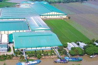 Đổi chiến lược phát triển, Lộc Trời chuyển mình mạnh mẽ