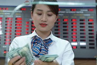 Tỷ giá và bài toán cho các doanh nghiệp cuối năm