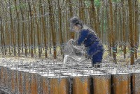 Cao su Đồng Phú (DPR) gần hoàn thành kế hoạch lợi nhuận 2018