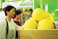 Nông nghiệp Quốc tế Hoàng Anh Gia Lai (HNG) xin giảm diện tích trồng cây ăn trái