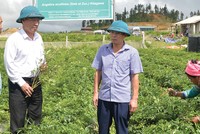 Ban lãnh đạo Traphaco, với nòng cốt là các đảng viên đã đưa Công ty trở thành một trong những doanh nghiệp dược lớn nhất cả nước.