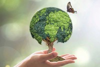 Chứng khoán Việt đã… xanh chưa?