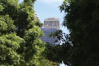 Ngân hàng xanh - tín dụng xanh: Chặng đường còn gian nan