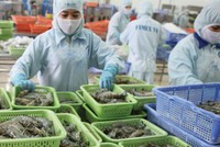 CPTPP có “thắp sáng” hơn triển vọng ngành thủy sản? 