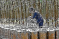 Cao su Đồng Phú (DPR) chốt phương án trả cổ tức 40% bằng tiền