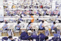 BSC: Sears phá sản sẽ khiến TCM phải trích lập dự phòng