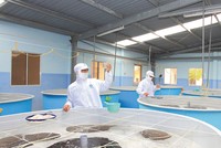 Xoay chiến lược để gia tăng doanh số