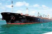 Từng được kỳ vọng là cánh chim đầu đàn của ngành vận tải biển Việt Nam, Vinalines đang trong giai đoạn tái cơ cấu đầy khó khăn.