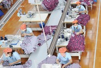 May Sông Hồng là một trong những doanh nghiệp đầu ngành may Việt Nam, với hoạt động chính là sản xuất hàng may xuất khẩu.