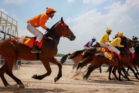 Hà Nội dự kiến mỗi năm thu 250 triệu USD thuế từ trường đua ngựa