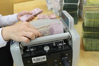 Các ngân hàng đã “thấu” được nỗi đau nợ xấu khi tăng trưởng tín dụng dễ dàng.