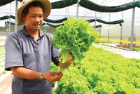 EU là cánh cửa đưa nông sản Việt vươn ra thị trường toàn cầu.