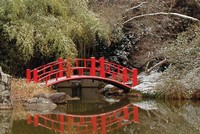 Lỗ nghiệp vụ và bài toán mở rộng thị phần của doanh nghiệp bảo hiểm nhân thọ 