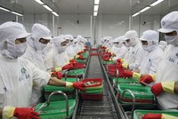 Thủy sản Việt Nam là một trong những ngành được dự báo sẽ đẩy mạnh xuất khẩu sang các nước khác trong CPTPP.