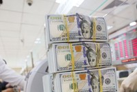 Năm nay, kiều hối chuyển về TP. HCM ước đạt 5 tỷ USD, chiếm khoảng 50% tổng lượng kiều hồi về Việt Nam.