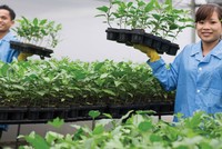 Sau tăng trưởng nóng, Nafoods đang dần “đuối“?