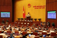 Quốc hội biểu quyết thông qua Luật An ninh mạng. (Ảnh: Dương Giang/TTXVN).