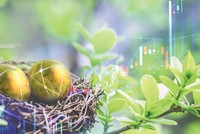 Phát triển bền vững: Để những câu chuyện thú vị được kể