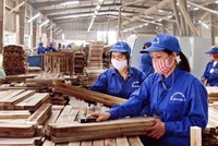 Tham vọng của “người hùng” Mai Hữu Tín tại Gỗ Trường Thành