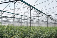 Nông nghiệp công nghệ cao Trung An dự kiến lên sàn HNX trong tháng 1/2019