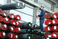 Ngành thép méo mặt với dư cung