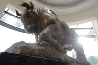 Phát triển TTCK cần tư duy “mở đất” (Kỳ 1): Hệ lụy từ sự phụ thuộc vào vốn ngân hàng