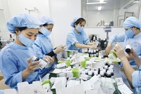 Ngành dược, cơ hội trên thị trường 6,5 tỷ USD