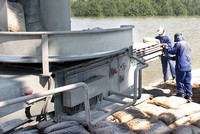 Xi măng Tân Quang đặt mục tiêu doanh thu 720 tỷ đồng