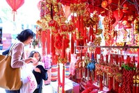 Không khí chào đón Tết Kỷ Hợi trên thế giới