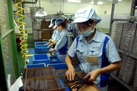 Dây chuyền sản xuất linh kiện cho các sản phẩm điện tử tại Công ty TNHH INOAC Viet Nam (vốn đầu tư của Nhật Bản), tại Khu công nghiệp Quang Minh (Hà Nội). (Ảnh: Danh Lam/TTXKN).