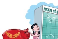 Sự khác nhau giữa heo đất và ngân hàng