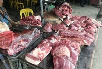 Thời điểm Tết, lợn dịch nhiều khiến người dân lo lắng.